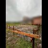 S__26009609.jpg　堀内様邸　やり方だし