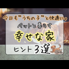 本文を追加