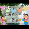 部屋干しでも