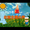 2025年